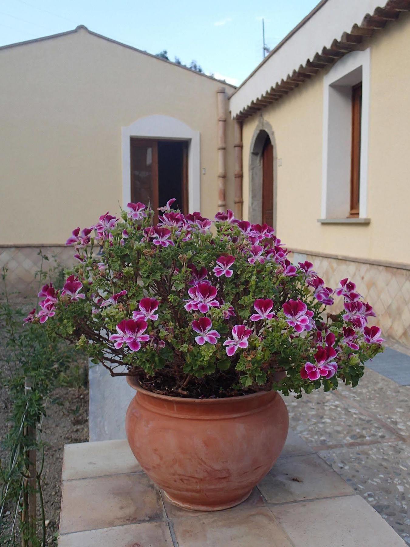 Gasthaus Patitiri Santa Teresa Di Riva Exterior foto